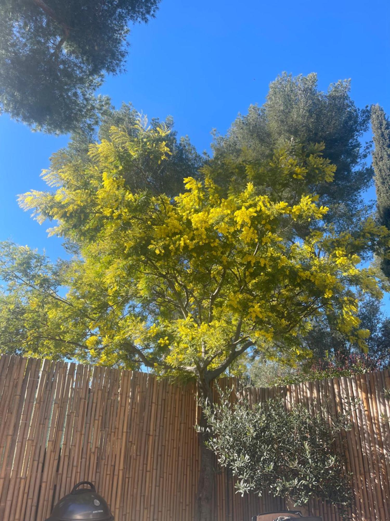 Nature Proche Chalet La Ciotat